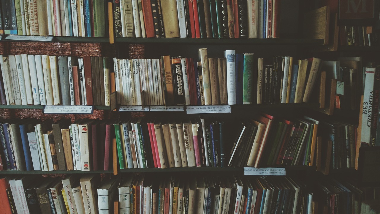 The Lost Library of Alexandria - What Was Lost?
